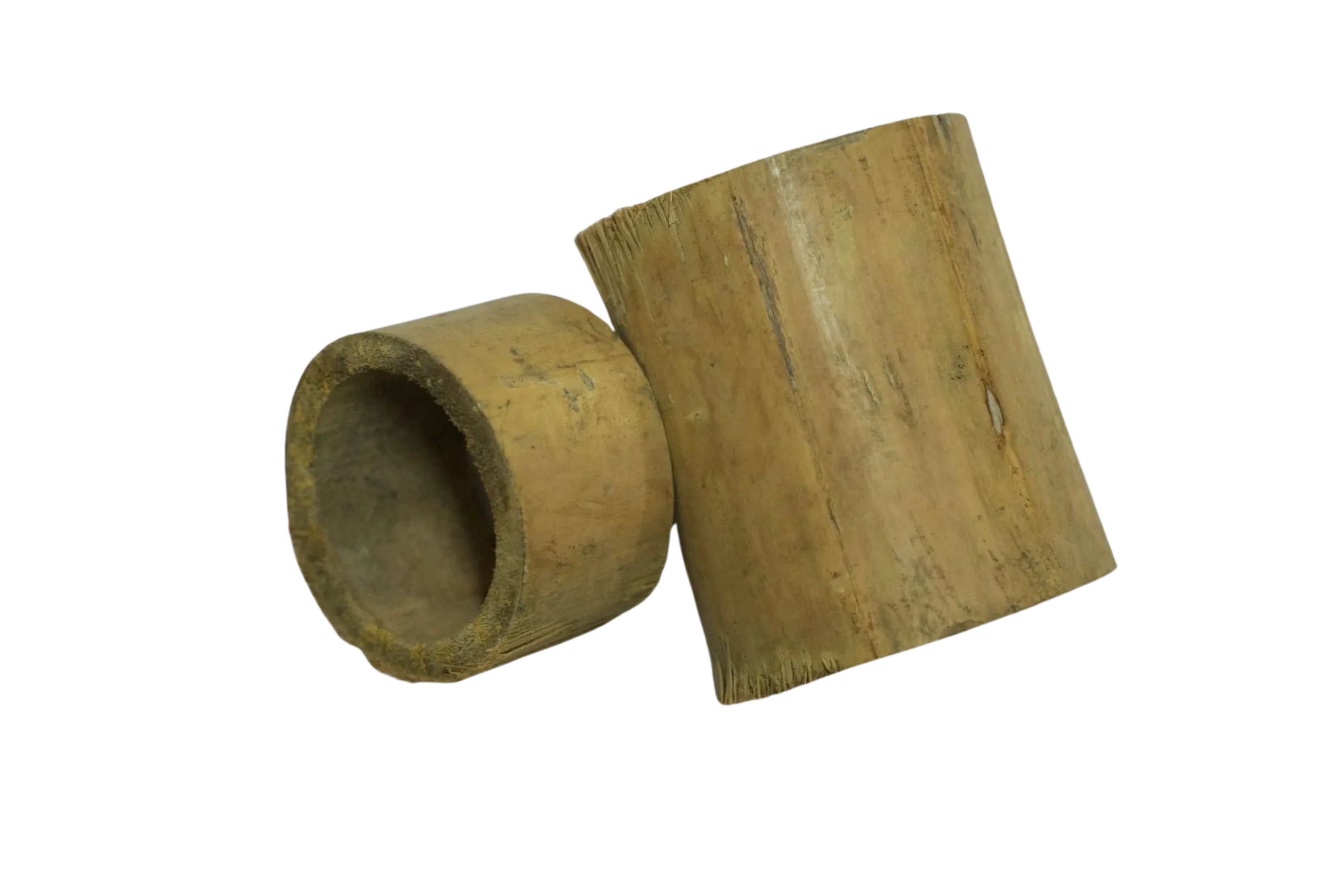 Bamboo